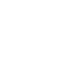 fast delivery